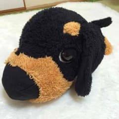 ミニチュアダックスフンド❤︎のサムネイル