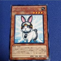 レスキューラビット(字レア)のサムネイル