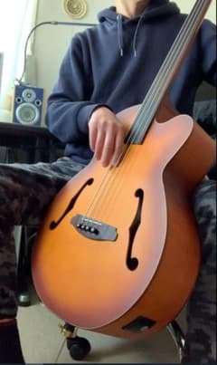 アップライト演奏可♪ フレットレスエレアコベース Aria FEB-FL