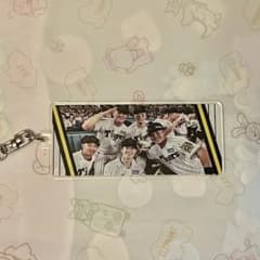 阪神タイガース シークレット 優勝アクリルキーホルダーのサムネイル