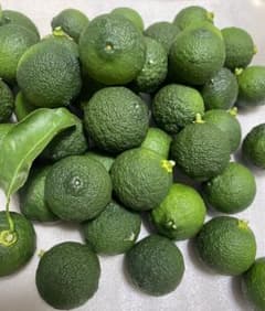 青柚子　無農薬のサムネイル