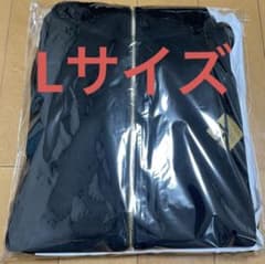 堂本光一 ジャージ Lサイズ FC限定 ファンクラブ限定 上下セット