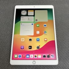 4417 電池最良好☆iPad Pro 256GB 10.5インチ SIMフリー 4419 電池最良好☆iPad Pro 256GB 10.5インチ SIMフリー - メルカリ
