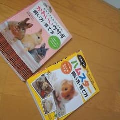 かわいいウサギ飼い方・育て方  かわいいハムスターのサムネイル