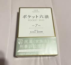 ポケット六法 2025 令和7年版のサムネイル