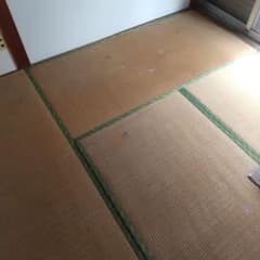 畳１２畳分のサムネイル
