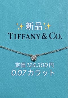 Tiffany バイザヤード ネックレス シルバー ダイアモンド0.07カラット