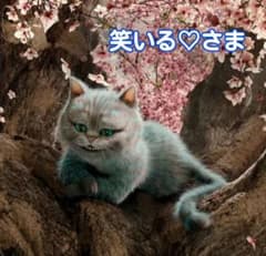 笑いる♥さま*•.❥(๑´∀`๑)♡*.+゜のサムネイル