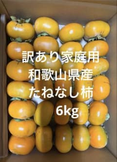 ☆【家庭用】和歌山産 たねなし柿 6Kg小玉のサムネイル