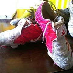 F50のサムネイル