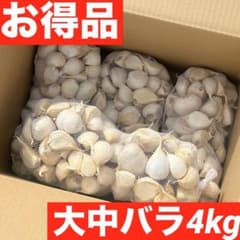 【大特価】新物 青森県 福地ホワイト にんにく MLバラ 4kg 種,加工 お得】青森県 福地ホワイト にんにく 大中バラ 4kg 種,加工 家庭用