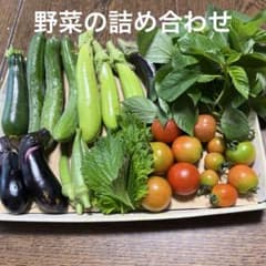 野菜の詰め合わせ２のサムネイル