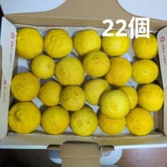 柚子　無農薬　22個のサムネイル