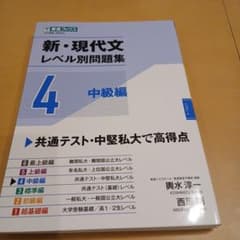 新・現代文レベル別問題集④ 中級編のサムネイル