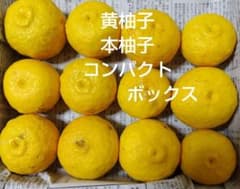 19 黄柚子 本柚子 コンパクトボックスのサムネイル
