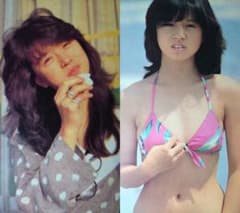 中森明菜 1982年〜1986年 大量 切り抜き ファイル 2冊 120P - メルカリ