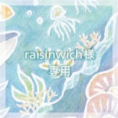 ˗ˏˋ  raisinwich様 専用ページˎˊ˗のサムネイル