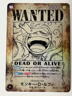 m72554941577_1.jpg?1725453657