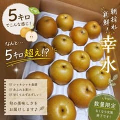 朝採れ 新鮮 幸水 梨 数量限定 m72554978285_1.jpg?1783427396