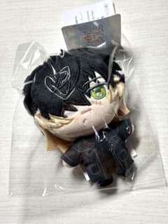 ニトロキラル展 キラメモ ぬいパル スロウ・ダメージ トワ - メルカリ