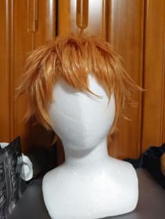 ヒプマイ 毒島 メイソン 理鶯 コスプレ ウィッグのサムネイル