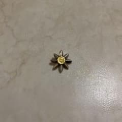 ケンキクチ　フラワートップのサムネイル