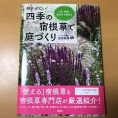 ★専用★咲かせたい! 四季の宿根草で庭づくり 日陰・酷暑・悪条件を解決!のサムネイル