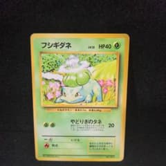 フシギダネ 旧裏 マークなしのサムネイル