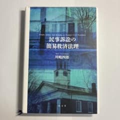 公共訴訟の救済法理 川嶋四郎 有斐閣 民事訴訟の簡易救済法理 川嶋四郎 弘文堂 - メルカリ