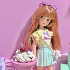 ホイップわんちゃん ブライス リカちゃん チェリーちゃん ドールハウス