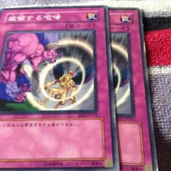威嚇する咆哮 2枚セットのサムネイル