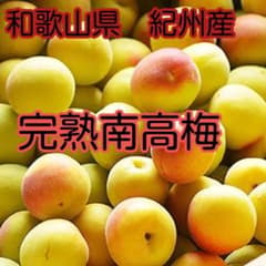 和歌山県紀州産 みなべ 完熟南高梅 無農薬栽培 3キロ - メルカリ