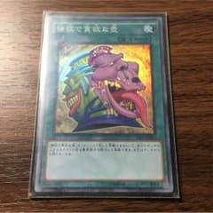 遊戯王 強欲で貪欲な壺のサムネイル
