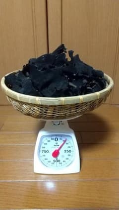 幻の茸 信州産 岩茸 イワタケ 250g - メルカリ