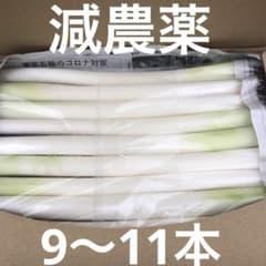 不揃いカットネギ　　　　　おいし〜いよ！ 　　A4サイズのサムネイル