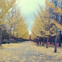 ケイちゃんの宝物様 返金専用ページのサムネイル
