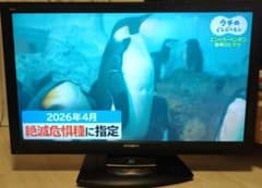 【取引終了】37型三菱液晶テレビ　ブルーレイ付き MITSUBISHI 液晶テレビ - メルカリ