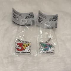 포켓몬 30주년 메탈 매력 메지루시 액세서리 피카츄후시기바나