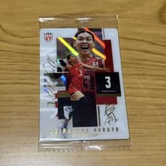 島村春世 バレーボール 日本代表 トレーディングカードのサムネイル