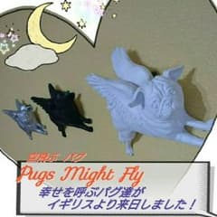『Yuki様専用』 Pugs Might Fly 空飛ぶパグのサムネイル