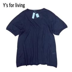 未使用 Y