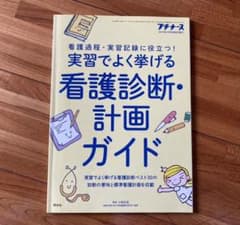 看護診断・計画ガイドのサムネイル