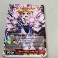 サ ヴァイスシュヴァルツ 守るべき大切なものなのは - メルカリ