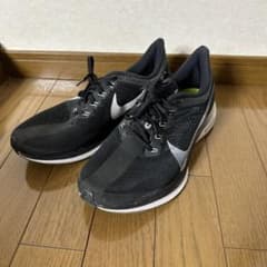 NIKE ペガサスターボのサムネイル