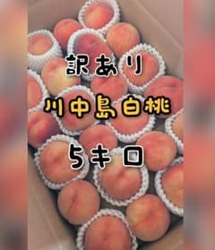 ◆５キロ◆　川中島白桃　訳あり　山形県産のサムネイル