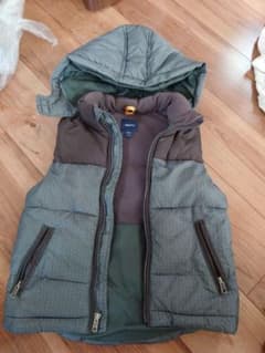GAP　ベストのサムネイル