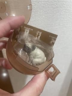 ふんばりーぬ2（パグ）2体目からは３３３円で購入可♡のサムネイル