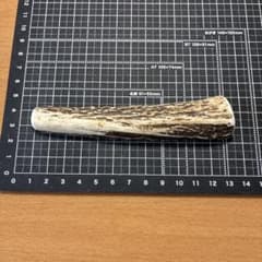 メルカリのルールによる表示　エゾシカ　鹿角　ホーン　蝦夷鹿角　三叉四尖 No.2328『鹿角半割り1枚』鹿の角 エゾ鹿 鹿角 蝦夷鹿 エゾシカ - メルカリ