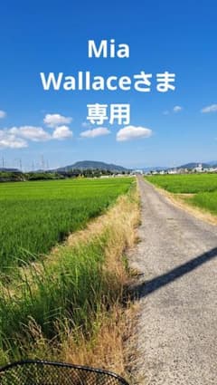 流木インテリア ペンダント LEDエジソン6灯 迫力満点 〜10帖 おしゃれ