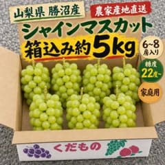 山梨県勝沼産 シャインマスカット 箱込み約5kg 6〜8房 家庭用 農家直送のサムネイル